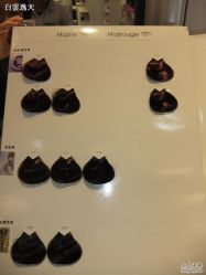 染发标本-钎赫造型