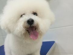 -佳雯宠物医院(金华南路分院)