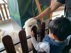-昆明大悦城未来动物城(螺蛳湾中心店)