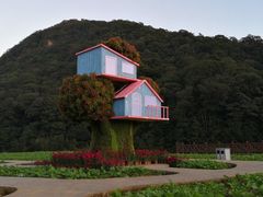 -广州市石门国家森林公园