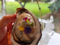 -九献创意菜·牛排馆(亮马河花园店)