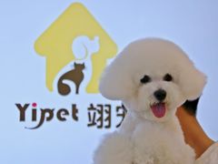 -翊宠yipet猫狗购宠庄园