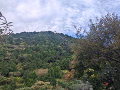 -香山公园