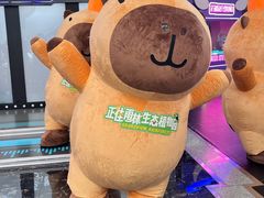 -正佳雨林生态植物园