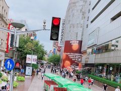 -BUS TOUR观光巴士