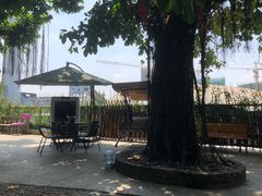 -柴犬高等学院·狗咖·柴犬售卖·宠物训练