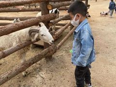 -泉州海丝野生动物世界