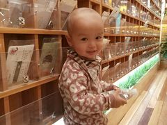 -猫的天空之城概念书店(印象城购物中心店)