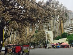 -清真·二嫂子煎饼果子(鼓楼旗舰形象店)