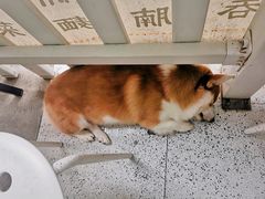 -小梁哥云吞面(黄贝岭店)