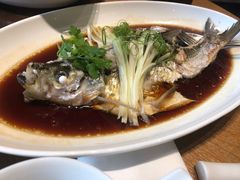 -宁波柏悦酒店·钱湖渔港