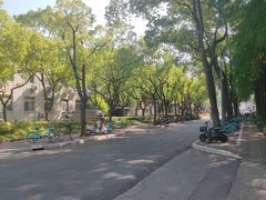 -上海师范大学(奉贤校区)