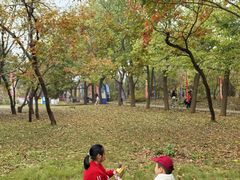 -国家植物园南园