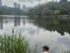 -重庆彩云湖湿地公园