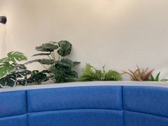 -兰湘子·湘菜小炒(盛龙广场店)