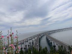 -星海湾跨海大桥