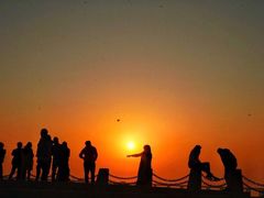 -宝安西湾红树林湿地公园