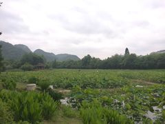 -贵阳市花溪国家城市湿地公园