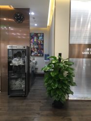 -崇尚GAVIN STYLE臻选