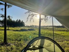 -春花秋色城市公园