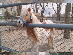 -长白岛森林公园