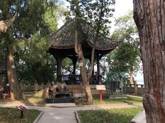 -子昂故里文化旅游区
