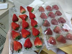 -麦德龙(郑东店)