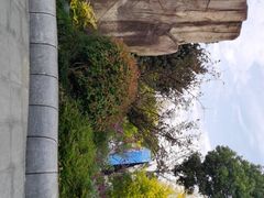 -昆山城市生态森林公园