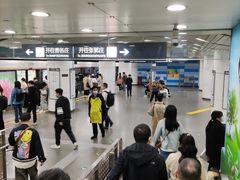 -大望路(地铁站)