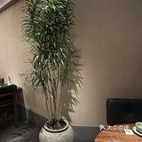 万象城！今天去need吃了漂亮饭！