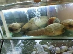 -老船长海鲜大排档(银滩店)