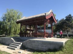 -绿堤公园