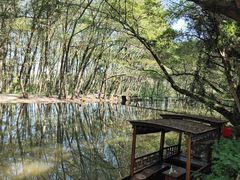 -西溪南古村落景区