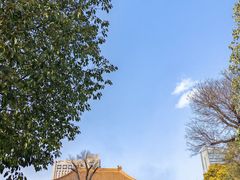 -西安大兴善寺