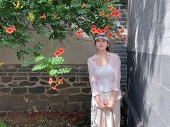 -蓬莱阁景区