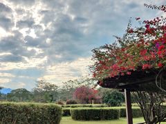 -中国科学院西双版纳热带植物园
