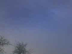 -浙江大学(玉泉校区)