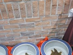 -毛家饭店·融合新湘菜·主题宴(齐鲁软件园店)