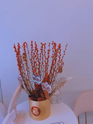 -苑苑vbeauty科技美容SPA