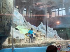 -帝企鹅自助餐厅•儿童岛•真企鹅(长隆企鹅酒店)