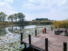 -苏州太湖湖滨国家湿地公园