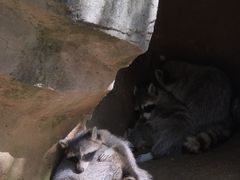 -杭州野生动物世界