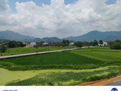 -黄牛肉馆·皖南土菜