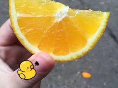 -潘太师炸鸡腿(中茵海华广场店)