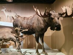 -陕西自然博物馆