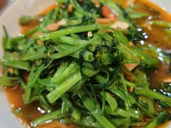 -荷花泰菜(东方新天地店)
