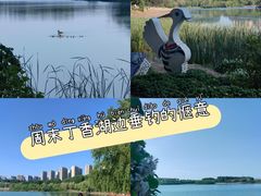-丁香湖公园