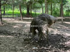 -第五季龙水凤港生态露营农场