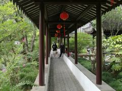 -上海醉白池公园