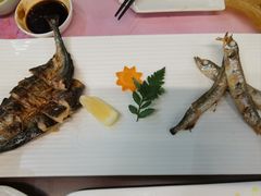 -黑松白鹿(金融街店)